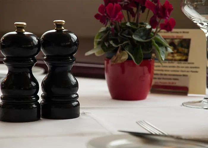 La Vigie & Ristorante Belvedere 酒店 杜伊斯堡